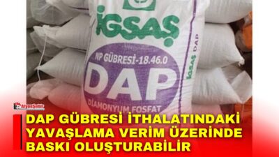 Türkiye’de yüksek fiyatlar, bitkinin gelişimi için gerekli fosforun yanı sıra