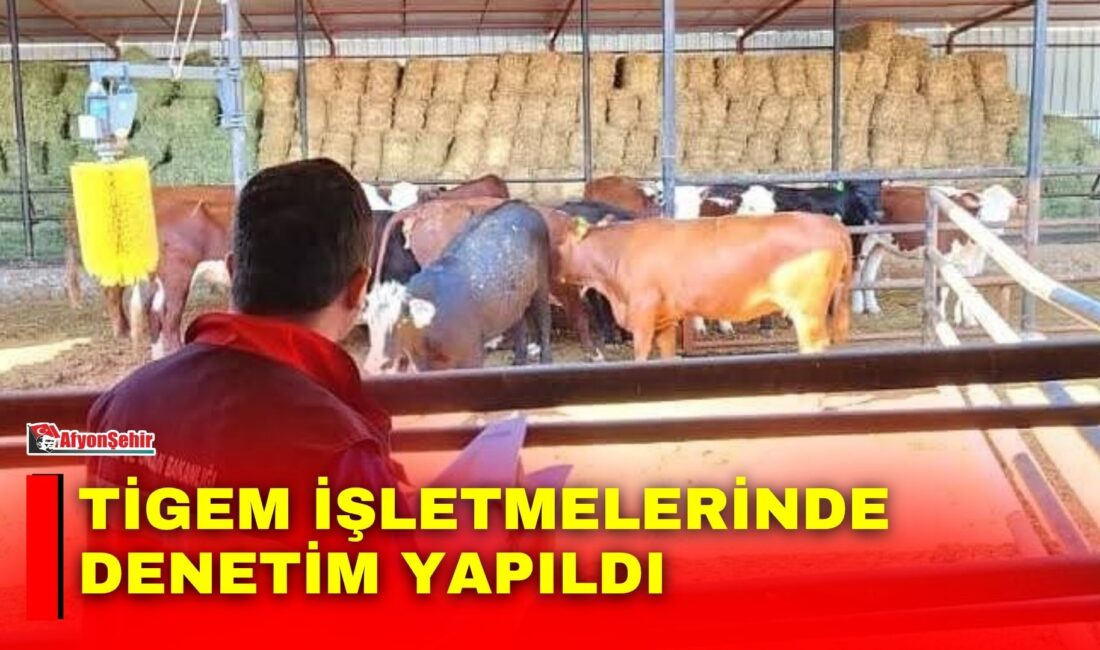 Afyonkarahisar’da Kırsalda Bereket Büyükbaş Hayvancılık Destek Programı kapsamında Tarım İşletmeleri