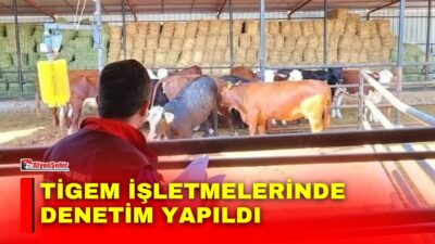 Afyonkarahisar’da Kırsalda Bereket Büyükbaş Hayvancılık Destek Programı kapsamında Tarım İşletmeleri