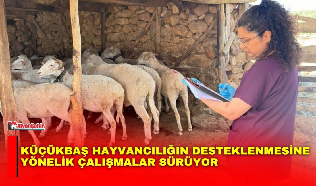 Afyonkarahisar’ın kırsal alanlarında hayvancılığın desteklenmesi ve üretimin sürdürülebilirliğine katkı sağlanması