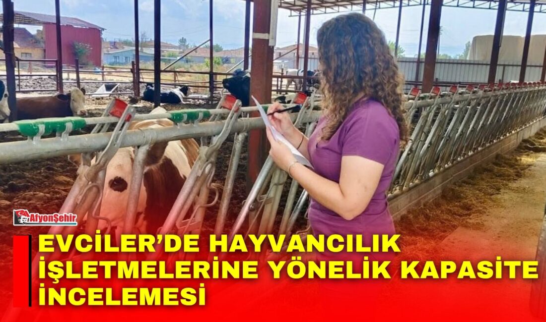 Afyonkarahisar’ın Evciler ilçesinde hayvancılık işletmelerine yönelik kapasite incelemeleri gerçekleştirildi.
