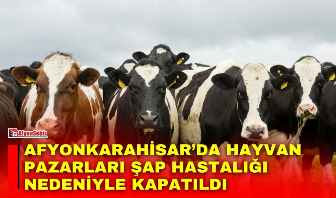 Komşu illerde görülen şap hastalığı vakaları nedeniyle Afyonkarahisar’da hayvan hareketliliğine