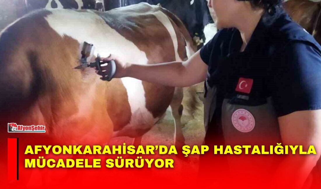 Afyonkarahisar’da hayvan sağlığının korunması ve şap hastalığının yayılımının önlenmesi amacıyla