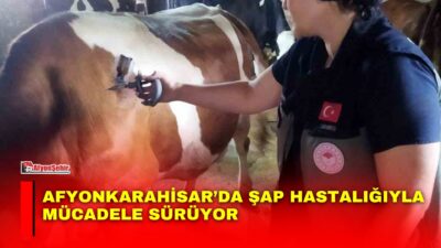 Afyonkarahisar’da hayvan sağlığının korunması ve şap hastalığının yayılımının önlenmesi amacıyla