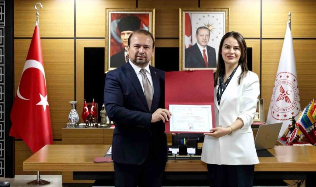 Aydın Şehir Hastanesi, Sağlık Bakanlığı tarafından gerçekleştirilen inceleme ve denetimleri