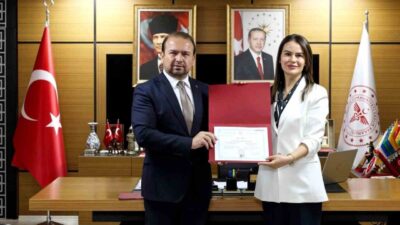 Aydın Şehir Hastanesi, Sağlık Bakanlığı tarafından gerçekleştirilen inceleme ve denetimleri