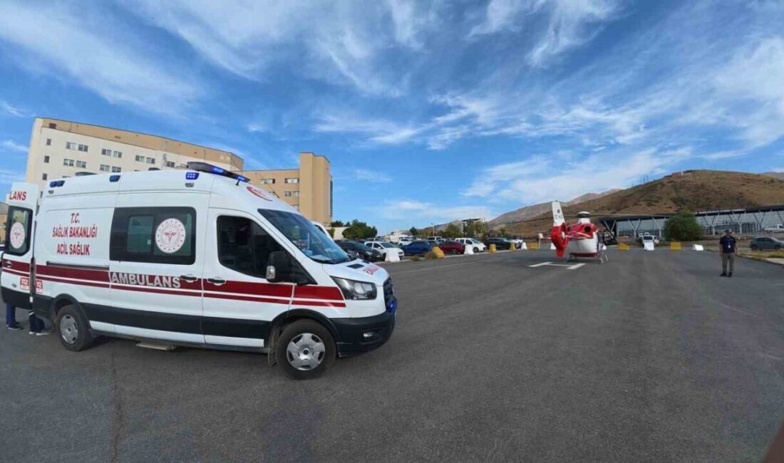 Bitlis’te dünyaya gelen henüz 1 günlük bebek, doğumsal kalp rahatsızlığı