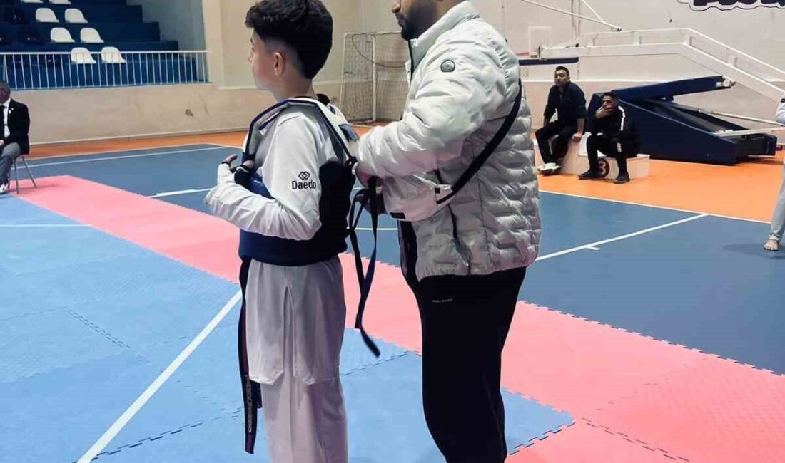 Doğan İlkan Aydemir; Avrupa TaeKwondo Şampiyonası Yıldızlar kategorisinde milli formayı