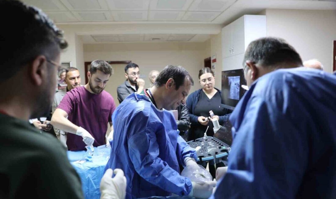 Kütahya’da, Türkiye’nin yanı sıra Suudi Arabistan, Irak, Azerbaycan ve Özbekistan’dan