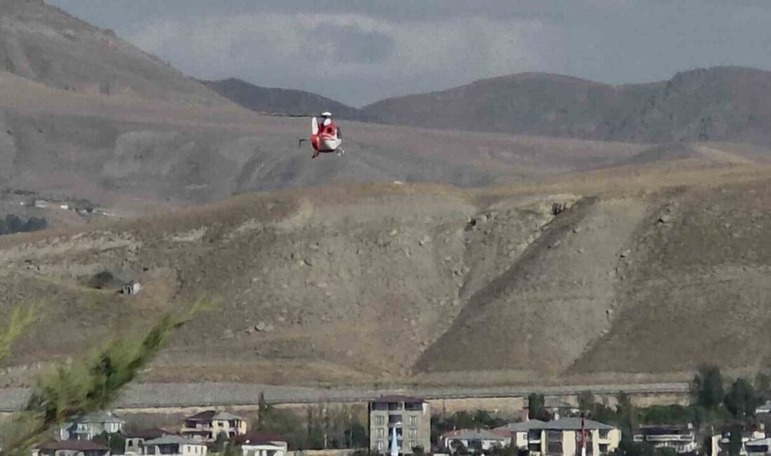 Van’ın Erciş ilçesinde ’yenidoğan sarılığı’ olan bebek, ambulans helikopter ile