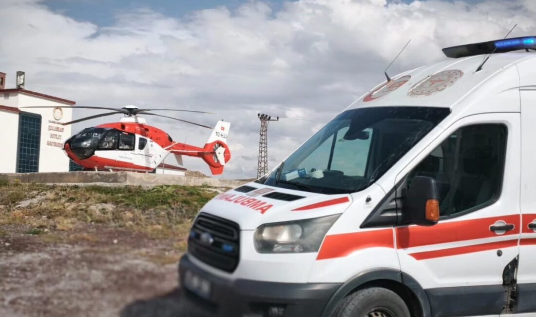 Van’ın Çaldıran ilçesinde bakteriyel sepsis tanısı konulan 21 günlük bebek,