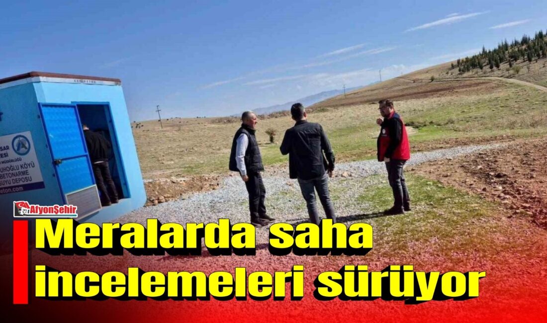 Afyonkarahisar’da Kırsal Dezavantajlı Alanlar Kalkınma Projesi (KDAKP) kapsamında, meralarda hayvanların