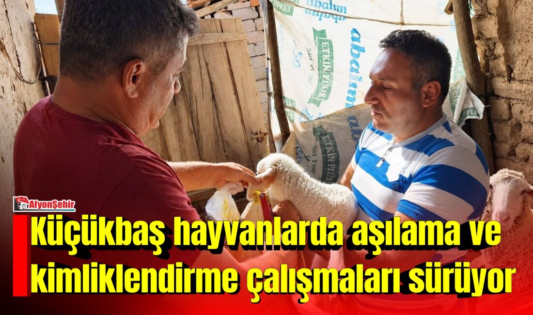 Afyonkarahisar İl Tarım ve Orman Müdürlüğü tarafından hayvan sağlığının korunması,