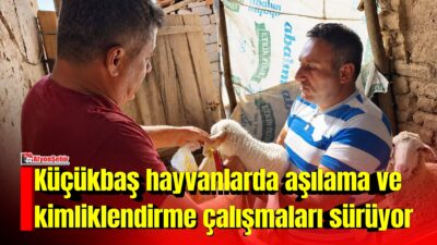 Afyonkarahisar İl Tarım ve Orman Müdürlüğü tarafından hayvan sağlığının korunması,