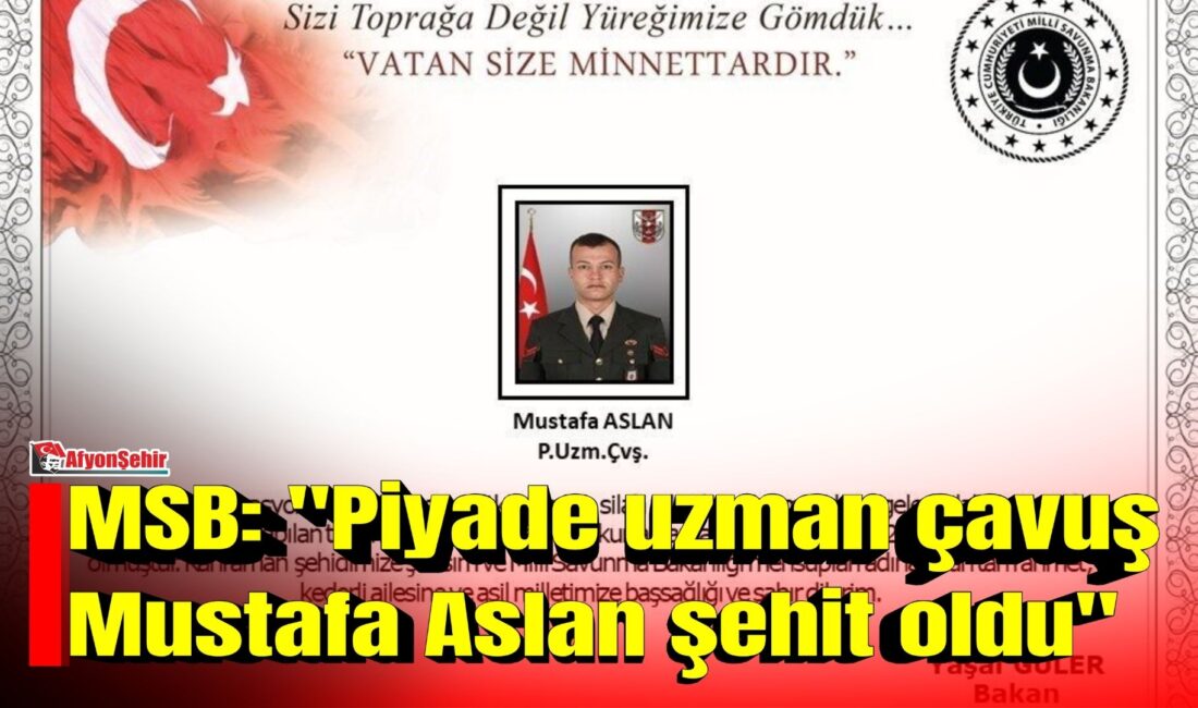 Milli Savunma Bakanlığı (MSB), Pençe-Kilit operasyon bölgesinde meydana gelen silah