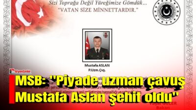 Milli Savunma Bakanlığı (MSB), Pençe-Kilit operasyon bölgesinde meydana gelen silah