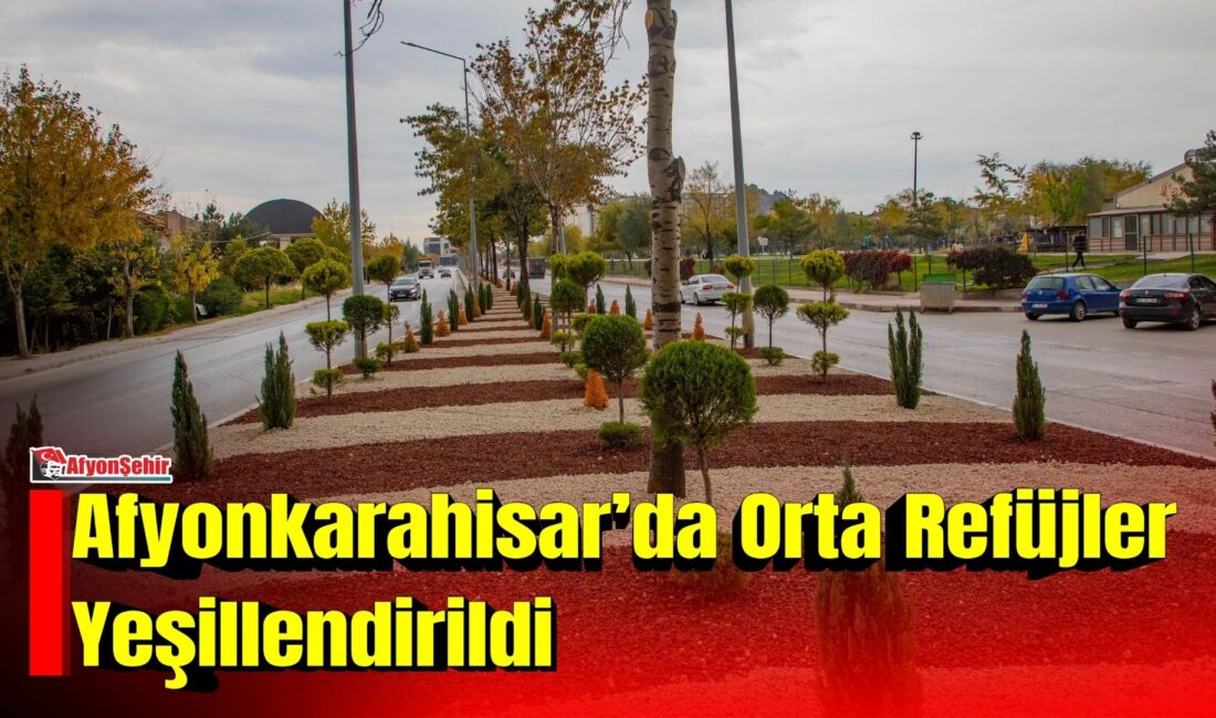 Afyonkarahisar Belediyesi, Filli Kavşak ile Devlet Hastanesi arasındaki orta refüjde