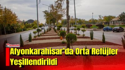 Afyonkarahisar Belediyesi, Filli Kavşak ile Devlet Hastanesi arasındaki orta refüjde