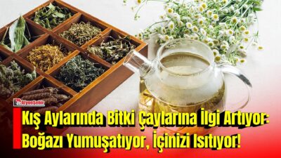 Havaların soğumasıyla birlikte sıcak içeceklere olan ilgi artarken, bitki çayları
