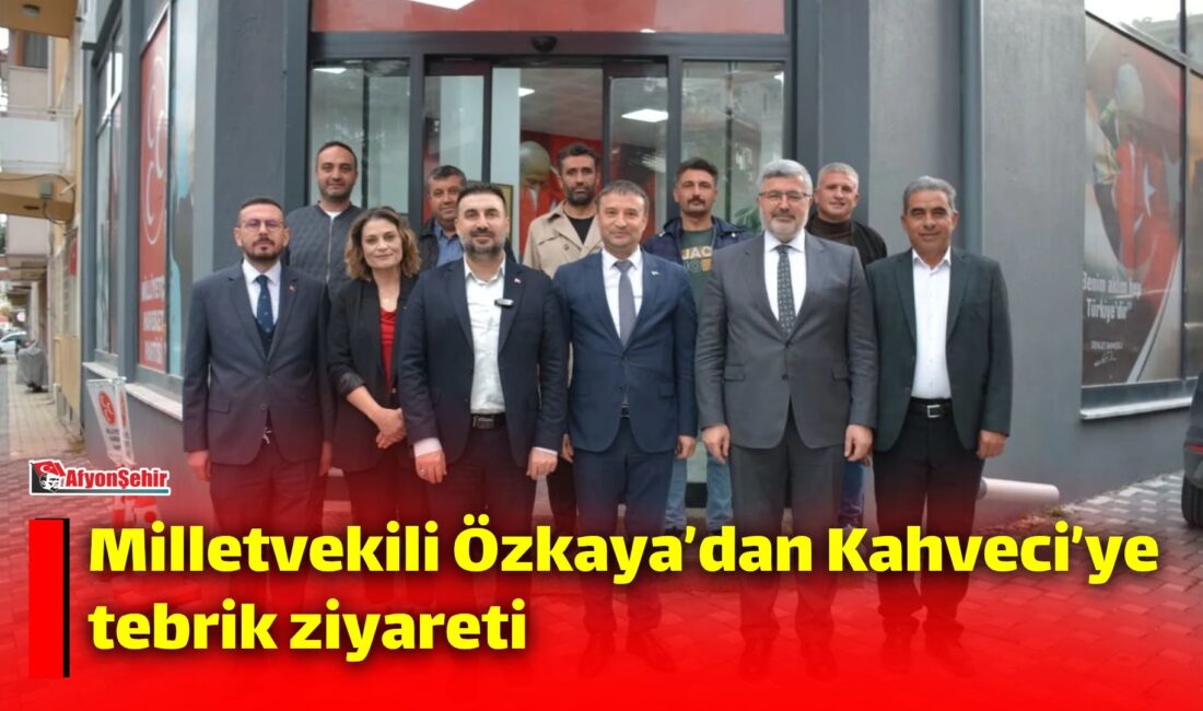 AK Parti Afyonkarahisar Milletvekili Ali Özkaya, AK Parti Afyonkarahisar İl