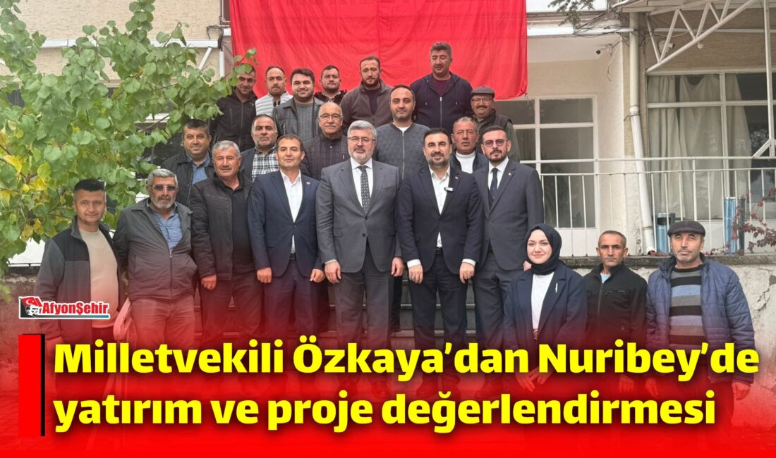 AK Parti Afyonkarahisar Milletvekili Ali Özkaya, AK Parti İl Başkanı