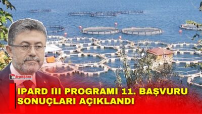 Tarım ve Orman Bakanı İbrahim Yumaklı: "Et, süt, yumurta, su