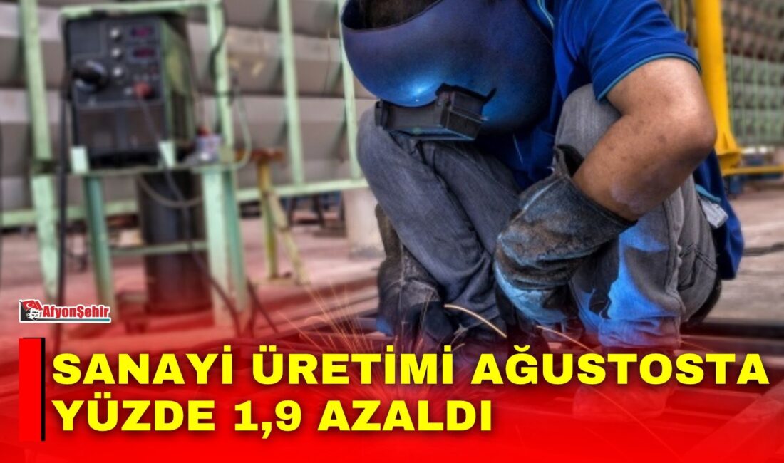 Türkiye İstatistik Kurumu’nun (TÜİK) Ağustos 2026 Sanayi Üretim Endeksi verilerine