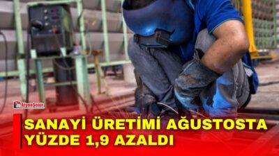 Türkiye İstatistik Kurumu’nun (TÜİK) Ağustos 2026 Sanayi Üretim Endeksi verilerine