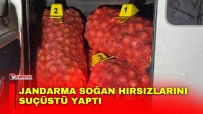 Afyonkarahisar’ın Emirdağ ilçesinde hale götürülmek üzere çuvallara konulan 250 kilogram