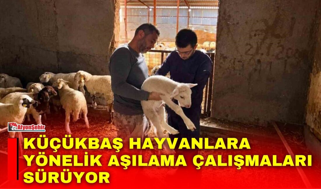 Afyonkarahisar’da hayvan sağlığının korunması, bulaşıcı hayvan hastalıklarının önlenmesi ve hayvan