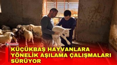 Afyonkarahisar’da hayvan sağlığının korunması, bulaşıcı hayvan hastalıklarının önlenmesi ve hayvan