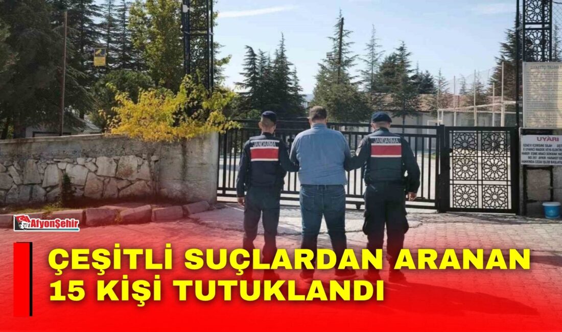 Afyonkarahisar’da jandarma ekipleri tarafından son bir hafta içerisinde gerçekleştirilen denetimlerde