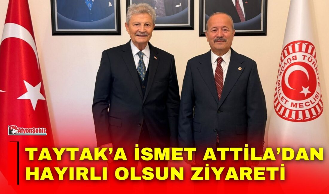 MHP Afyonkarahisar Milletvekili Mehmet Taytak, Türkiye Büyük Millet Meclisi (TBMM)