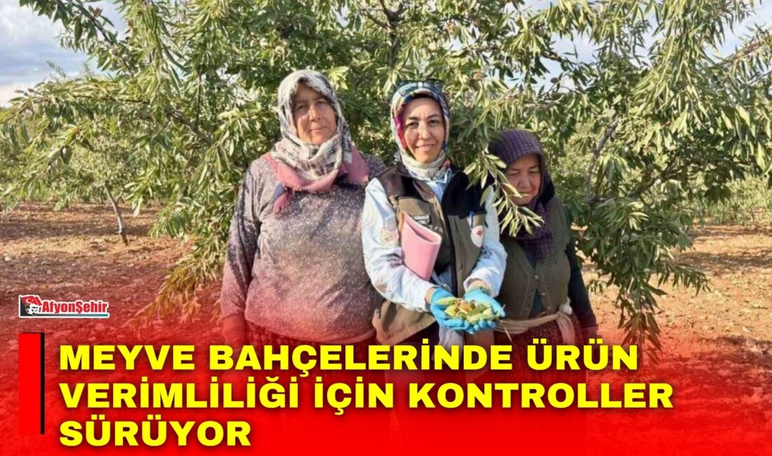 Afyonkarahisar’da meyve bahçelerinde bitki sağlığını tehdit eden Xylella fastidiosa etmenine