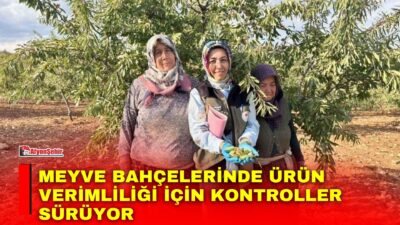 Afyonkarahisar’da meyve bahçelerinde bitki sağlığını tehdit eden Xylella fastidiosa etmenine