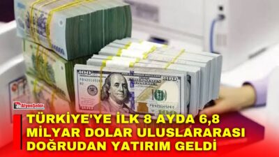 Türkiye’ye bu yılın ilk 8 ayında 6,8 milyar dolar değerinde