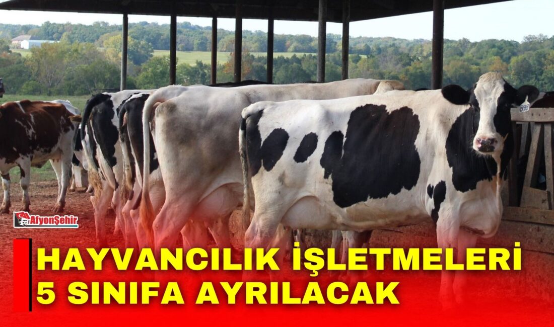 Tarım ve Orman Bakanlığı tarafından hazırlanan Hayvancılık İşletmelerinin Sınıflandırılmasına İlişkin