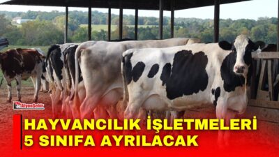 Tarım ve Orman Bakanlığı tarafından hazırlanan Hayvancılık İşletmelerinin Sınıflandırılmasına İlişkin