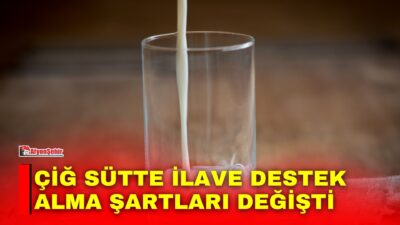 Tarım ve Orman Bakanlığının Çiğ Süt Desteği ve Süt Piyasasının