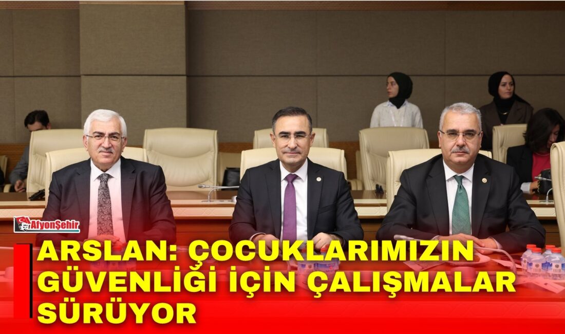 AK Parti Afyonkarahisar Milletvekili Hasan Arslan, Türkiye Büyük Millet Meclisi