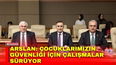 AK Parti Afyonkarahisar Milletvekili Hasan Arslan, Türkiye Büyük Millet Meclisi