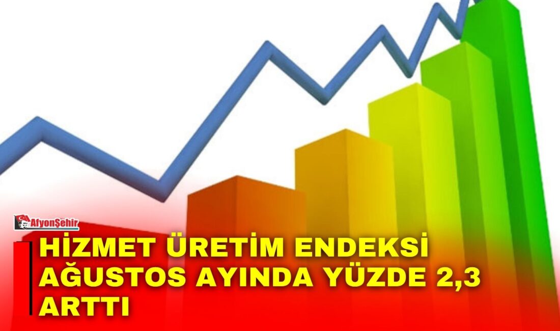 Türkiye İstatistik Kurumu (TÜİK), Ağustos ayı Hizmet Üretim Endeksi verilerini