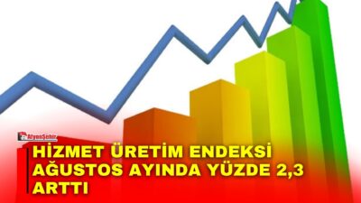 Türkiye İstatistik Kurumu (TÜİK), Ağustos ayı Hizmet Üretim Endeksi verilerini
