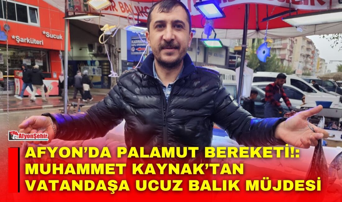 Denizlerde yaşanan palamut bolluğu balık tezgâhlarına yansırken, vatandaşlar da uygun