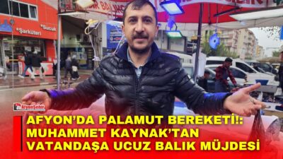 Denizlerde yaşanan palamut bolluğu balık tezgâhlarına yansırken, vatandaşlar da uygun