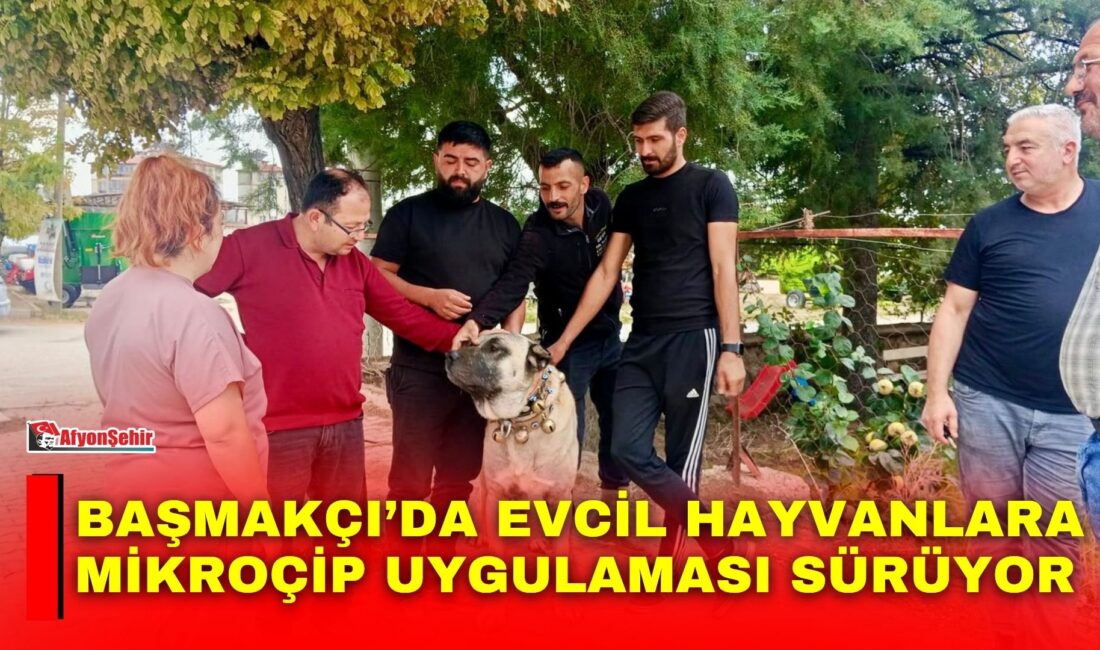 Afyonkarahisar İl Tarım ve Orman Müdürlüğü ekipleri, evcil hayvanların kayıt