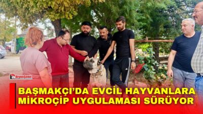 Afyonkarahisar İl Tarım ve Orman Müdürlüğü ekipleri, evcil hayvanların kayıt