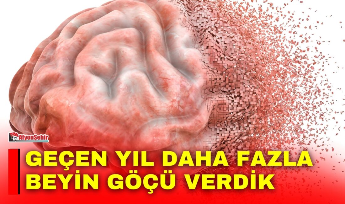 Yükseköğretim mezunlarının beyin göçü oranı 2025 yılında bir önceki yıla