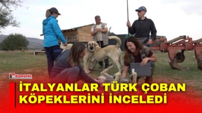 İtalya'dan Türkiye'ye gelen 10 kişilik uzman köpek eğitmeni ekibi, Türk