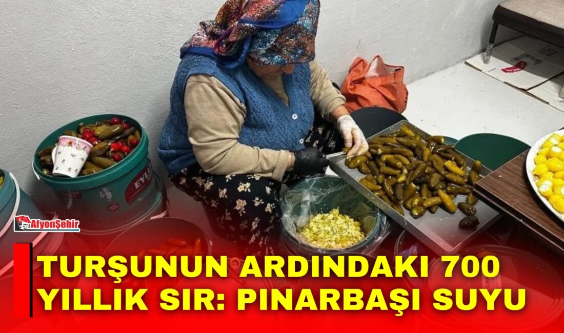 Bursa'nın Orhangazi ilçesine bağlı Gedelek Mahallesi, 600-700 yıllık anıt çınarların